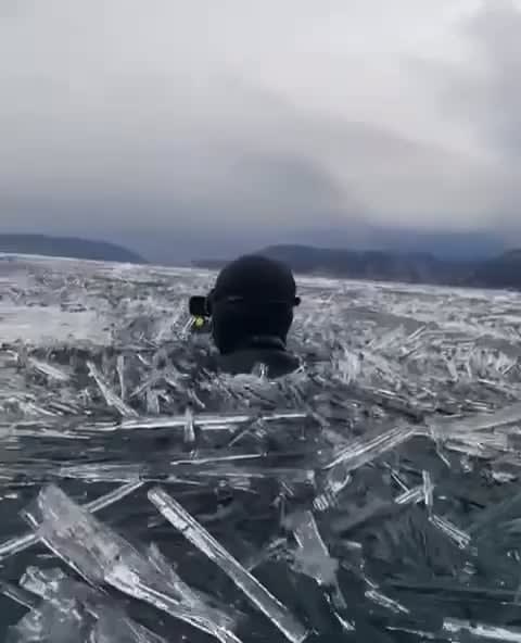 Amazing sticky video for the end of this beautiful spring day: walrus divers open the swimming season in the almost melted Lake Baikal-among billions of ice needles.