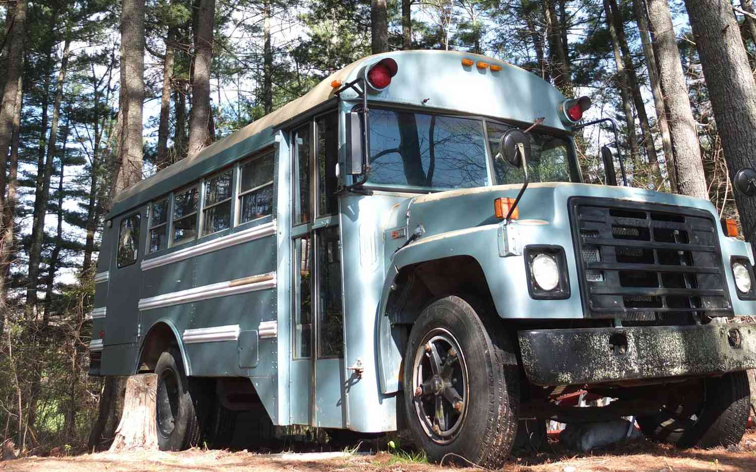 This School Bus in the Woods Is Actually an Adorable Airbnb