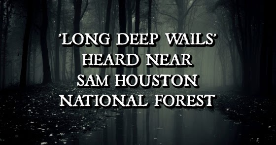 'Long Deep Wails' Heard Near Sam Houston National Forest