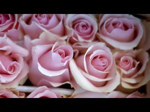 How to Buy Valentine's Day Flowers