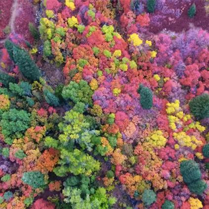 Incredible Drone Footage Captures the Vibrant Colors of Utah in Fall