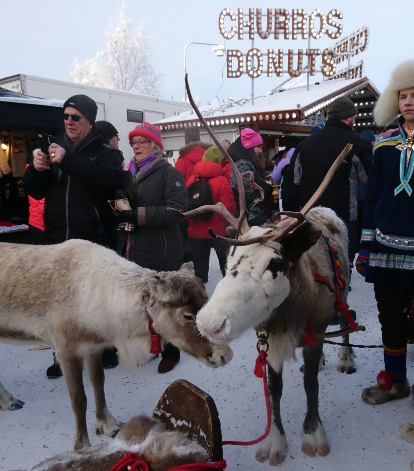 Jokkmokk (Winter market 2019)
