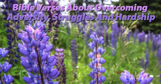 Bible Verses On Overcoming Adversity, Struggles & Hardship