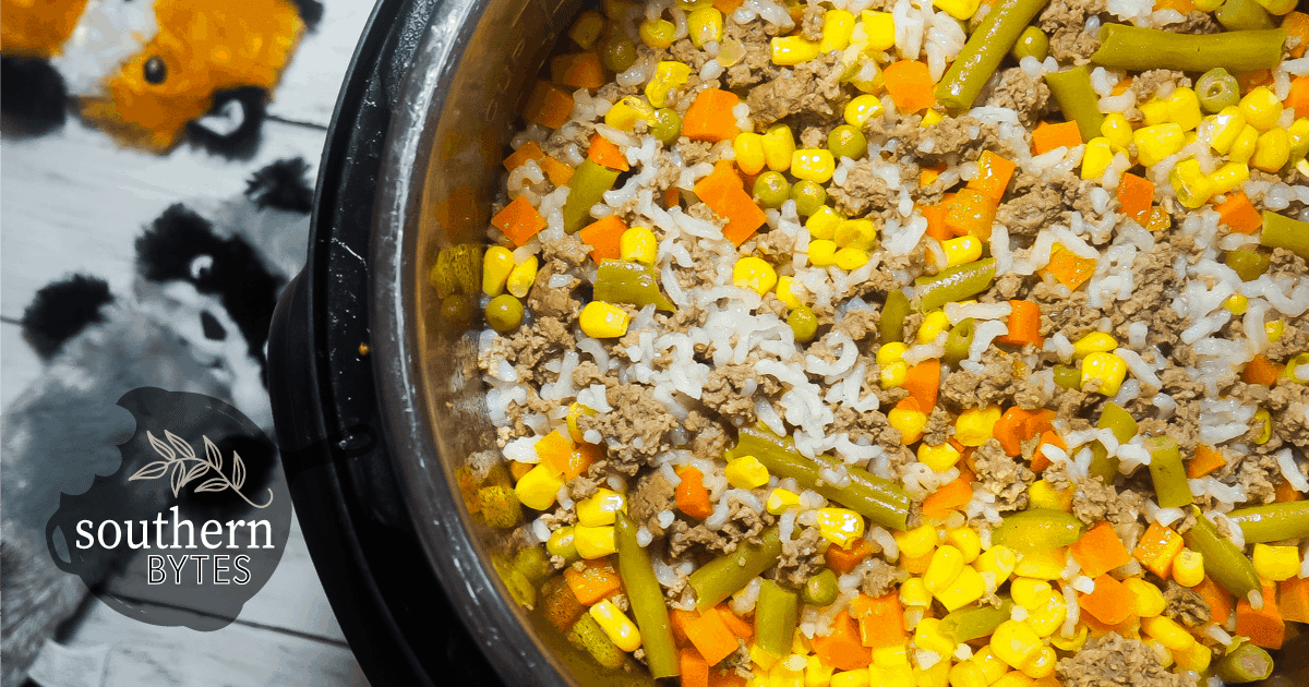 How to Make Easy Homemade Dog Food - Instant Pot