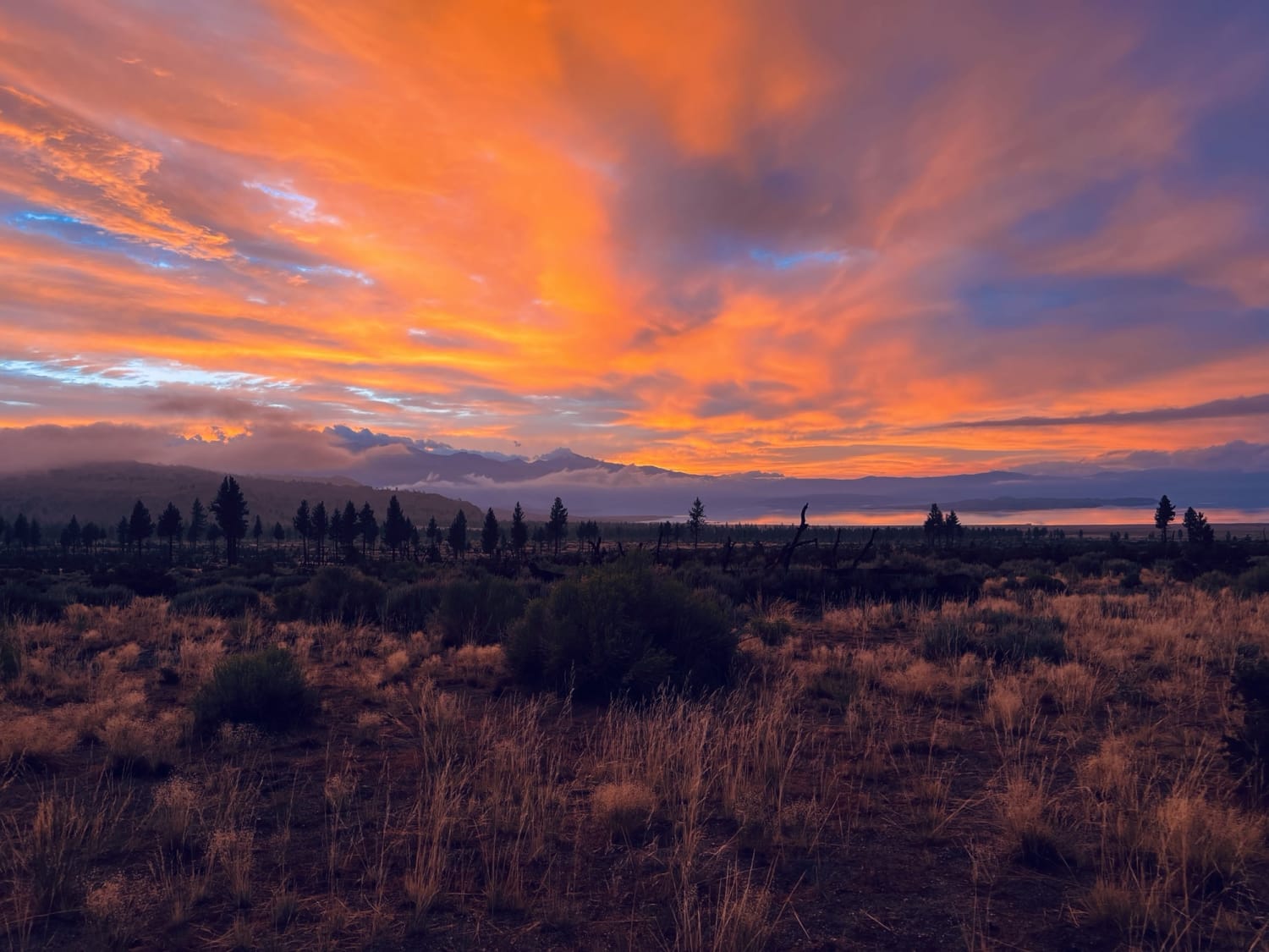 Got rained on throughout our night in the Sierras, but it made for an