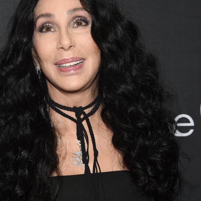 2020 Will Be the Year of Cher, Again