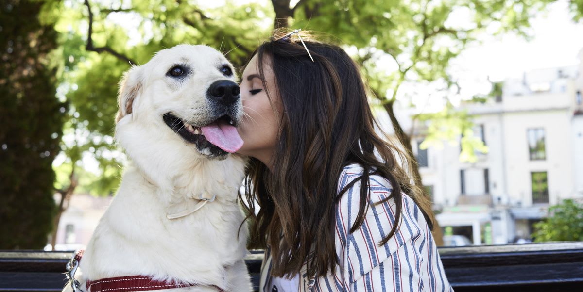 12 Loving Pups Are So Dog-Gone Affectionate