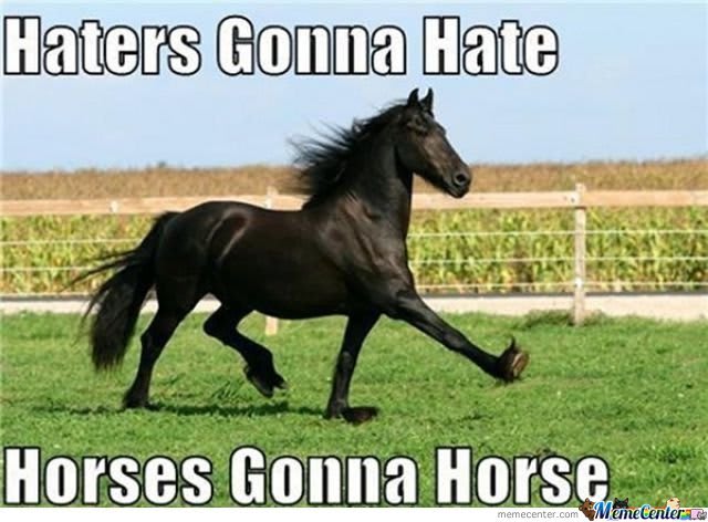 39 Hilarious Horse Memes Images, Gifs, Photos & Pictures