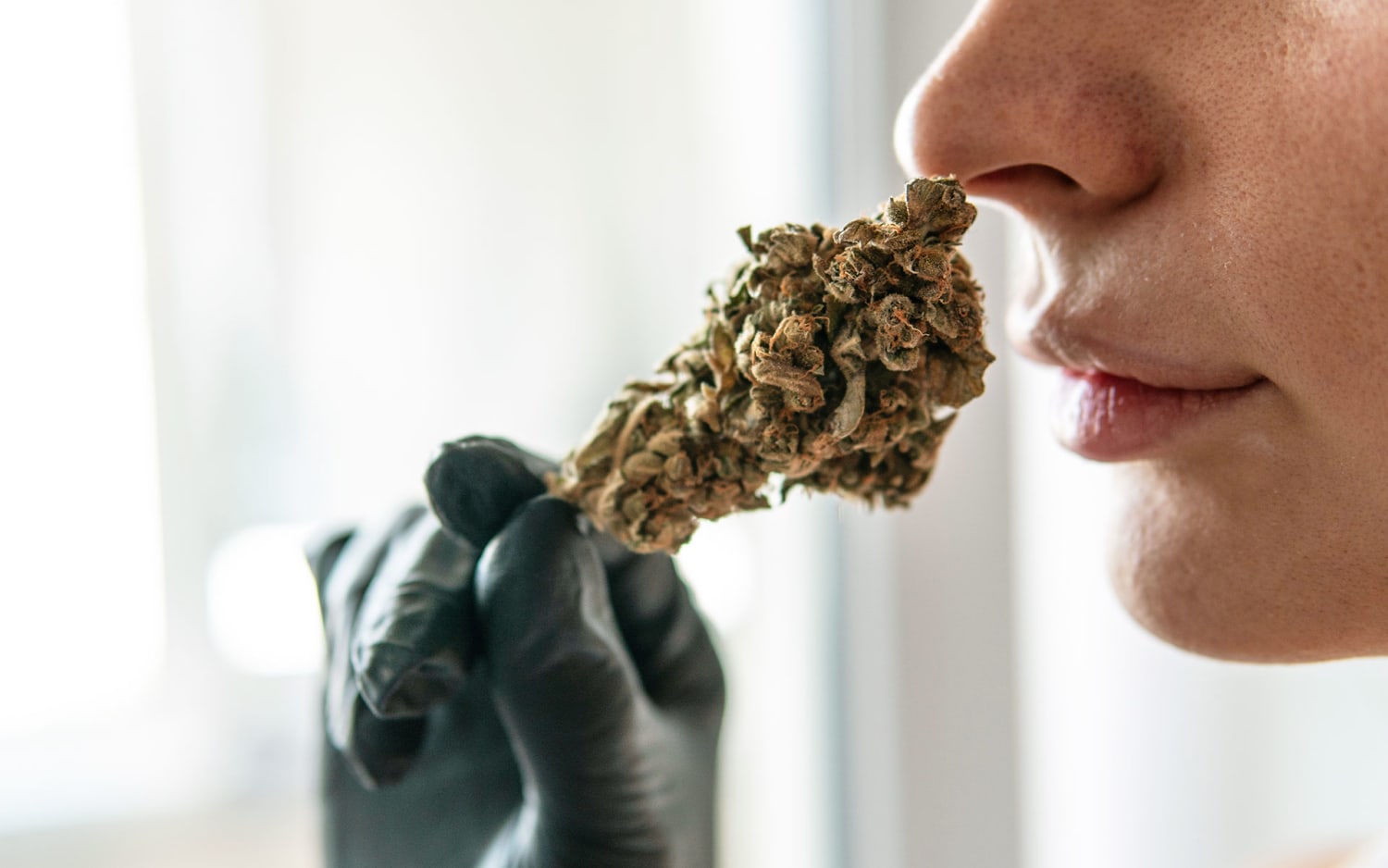 Opinion: Let us smell the legal cannabis for sale, dammit!