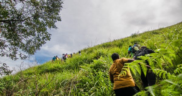 Netravati Peak Trek: Serenity of the Shola