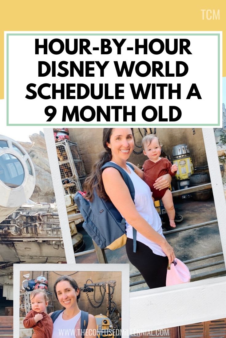 Hour-By-Hour Baby Schedule: Disney World With A 9 Month Old - The Confused Millennial