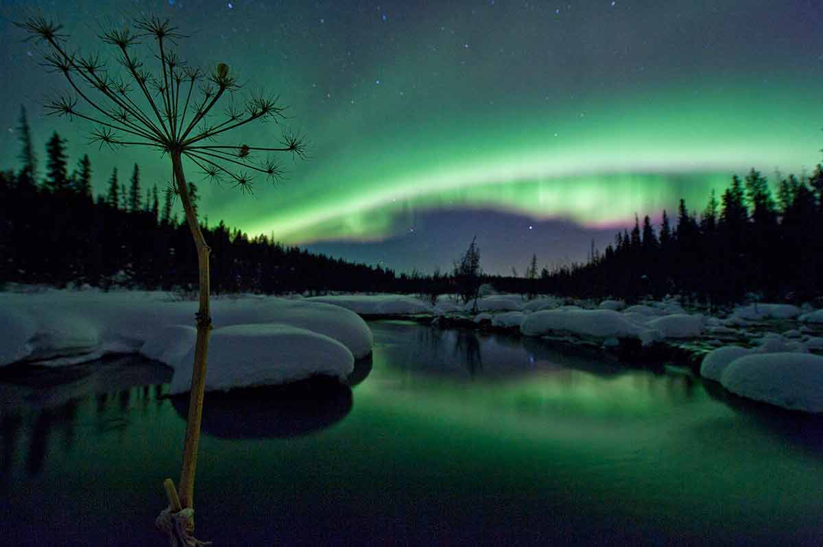 35 Incredible Facts About The Yukon