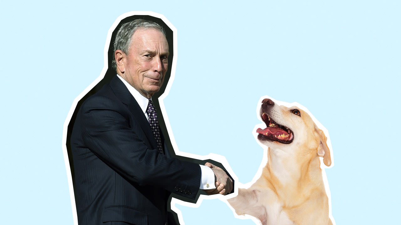 Watch Michael Bloomberg Greet a Dog Like We All Do: By Shaking Its Jaw