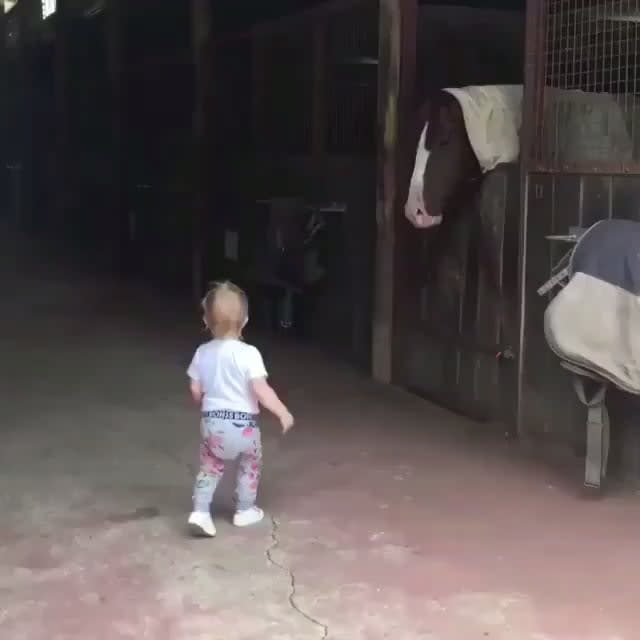 This little kid checking out all the horses and giving each of them a pat or a kiss