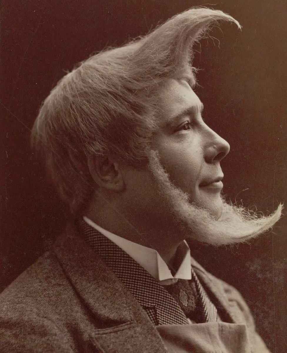 A portrait of an interesting hair style from 1894