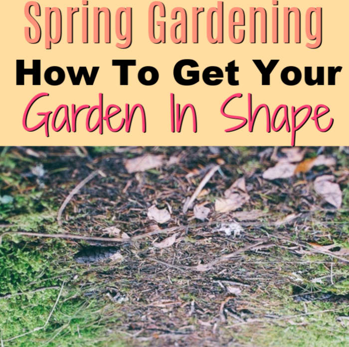 Spring Gardening: How To Get Your Garden In Shape