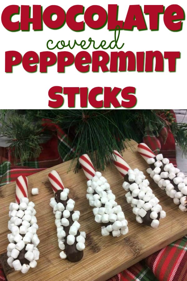 Holiday chocolate covered peppermint sticks