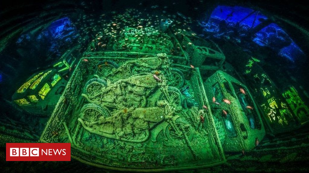 The winners of Underwater Photographer of the Year 2018