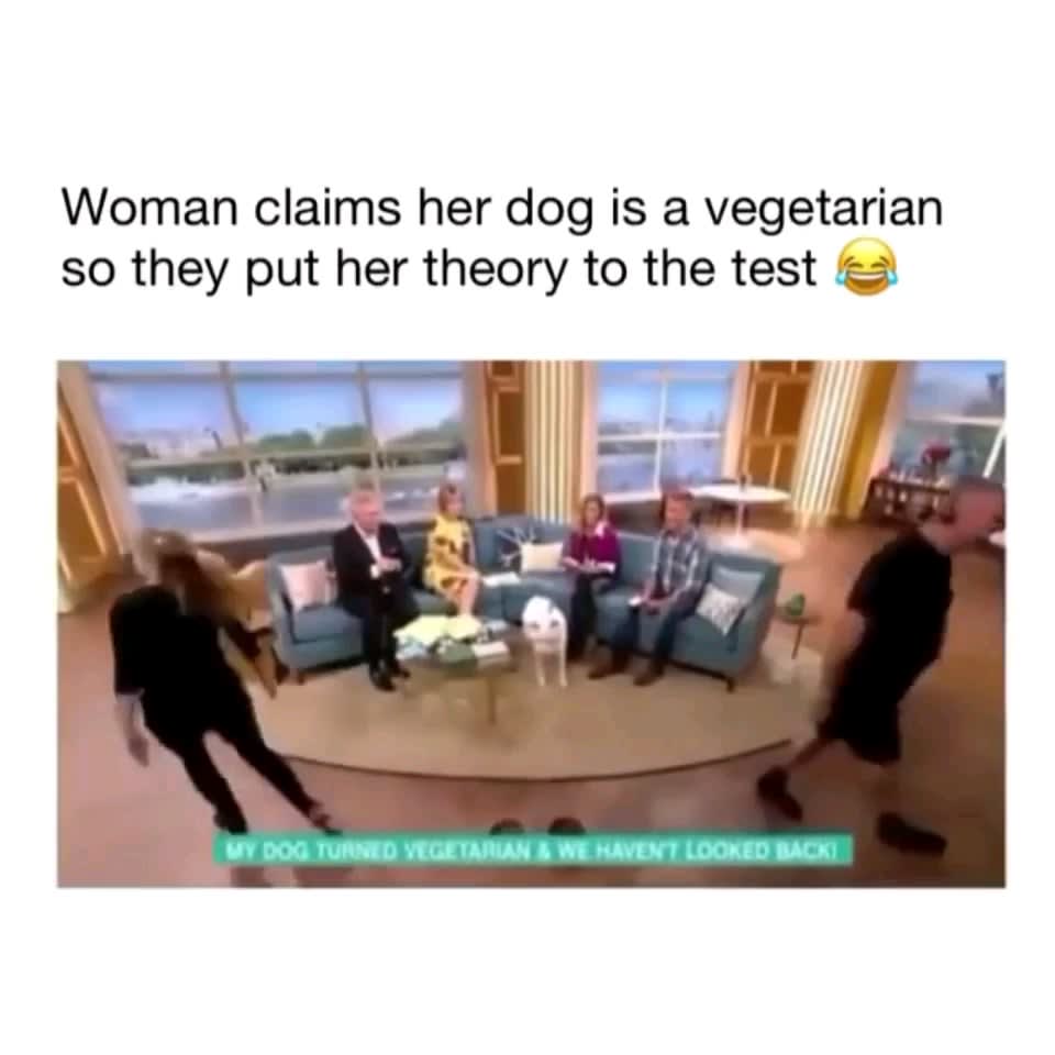 To make your dog vegetarian