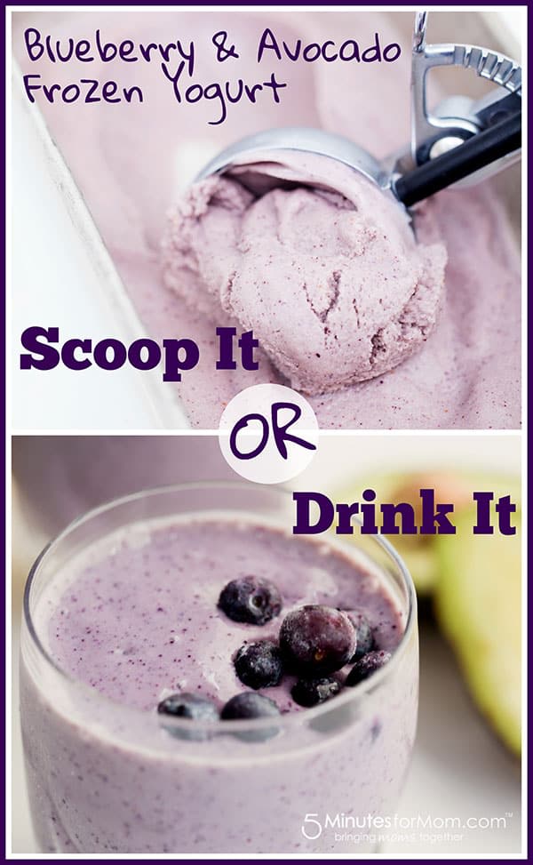Blueberry and Avocado Frozen Yogurt and Smoothie Recipes