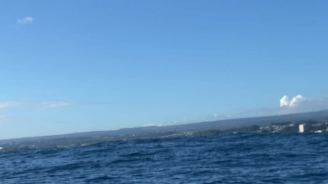 Close Encounter in Hilo Bay this morning. Baby Humpback being escorted by a small pod of dolphins, then Mama comes over to see what's up.
