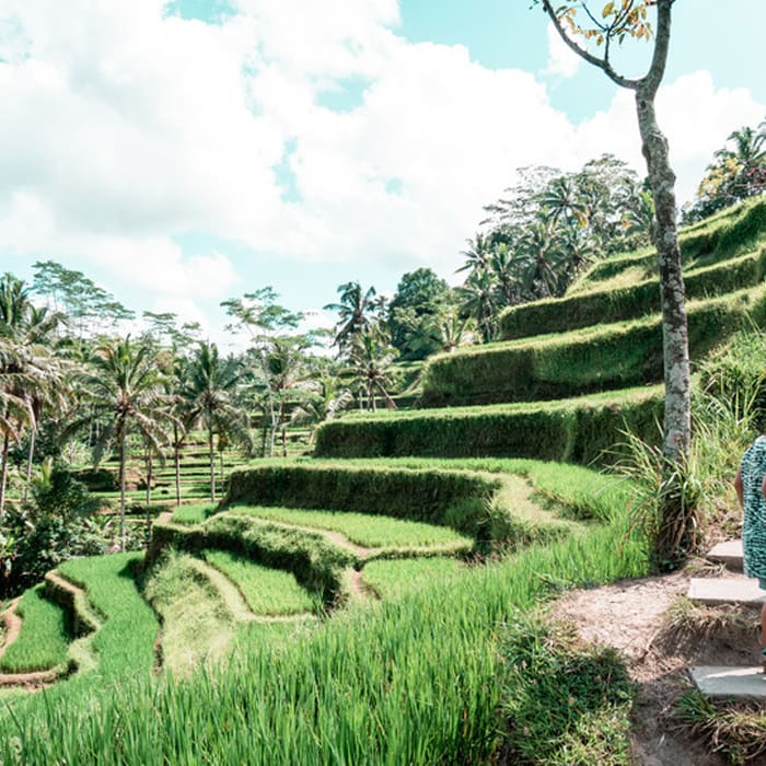 Complete Guide to Bali Prices: Accommodation, Food, Attractions & More!