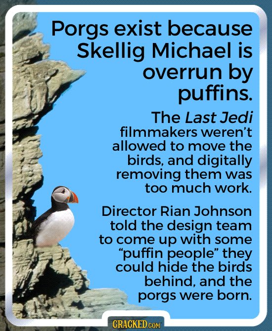 The Origin Of Porgs & Other Behind-The-Scenes Star Wars Facts For Those Cantina Friends -