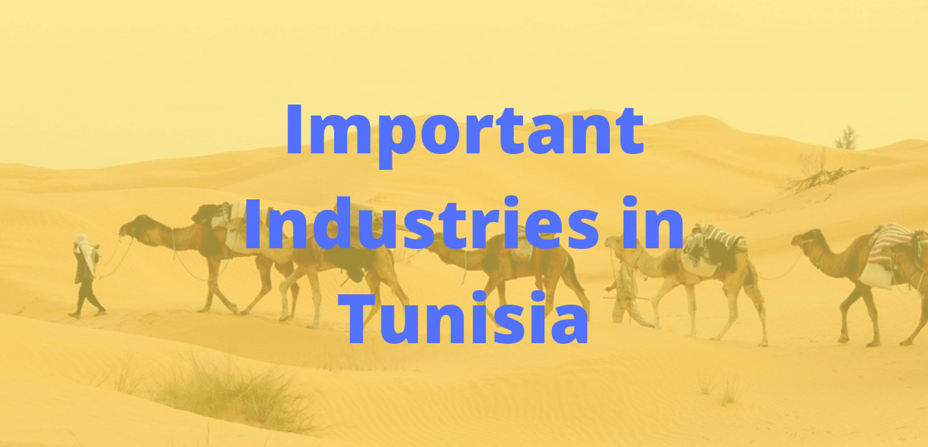 Important Established Industries in Tunisia