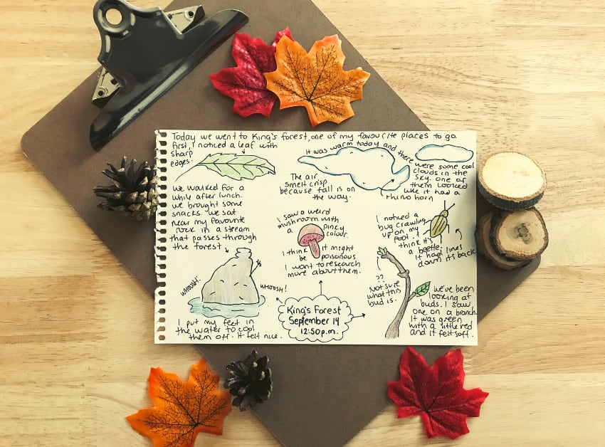 How to Use Nature Journaling in Inquiry Learning