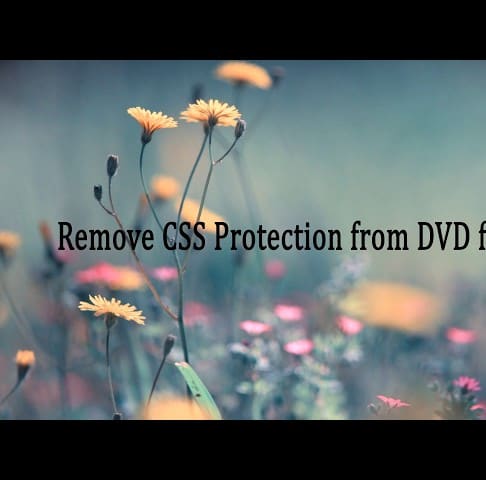 Remove CSS Protection from DVD for Copy
