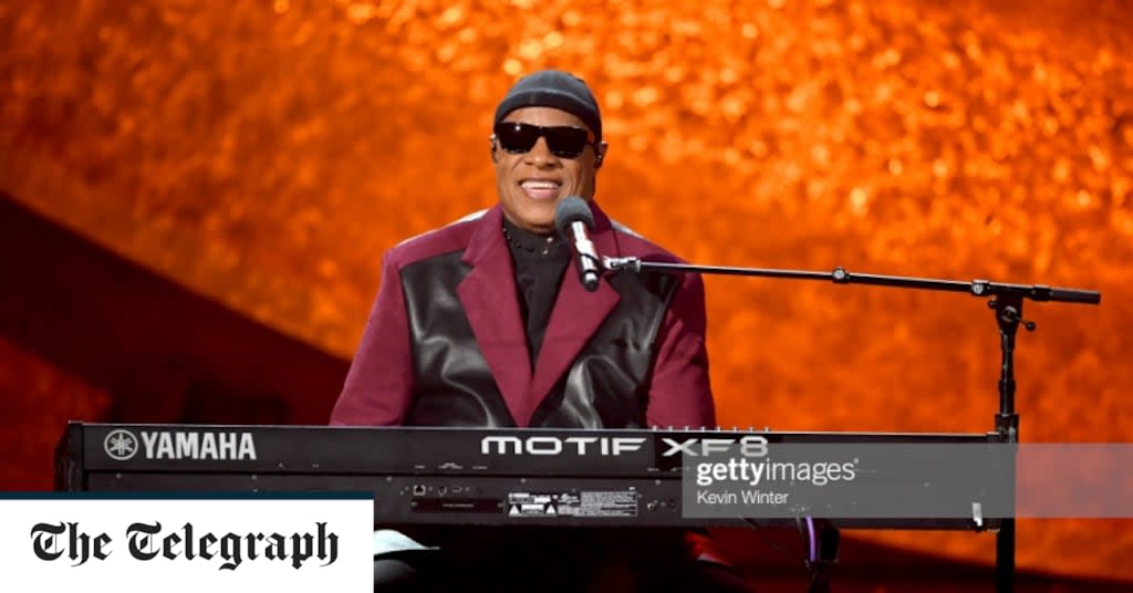 Stevie Wonder tells Hyde Park crowd he will take break from music to have kidney transplant