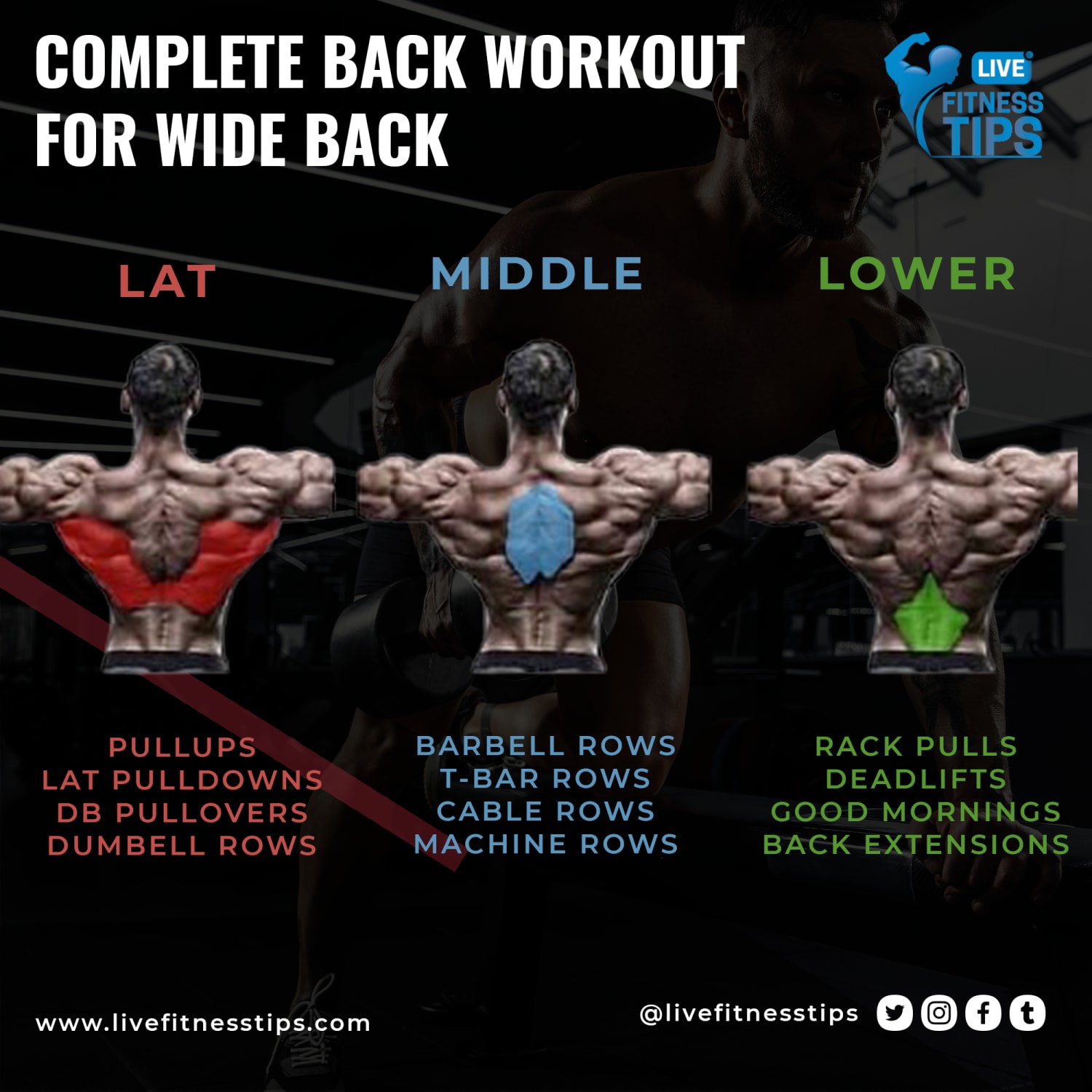 Best Exercises for Wider Back