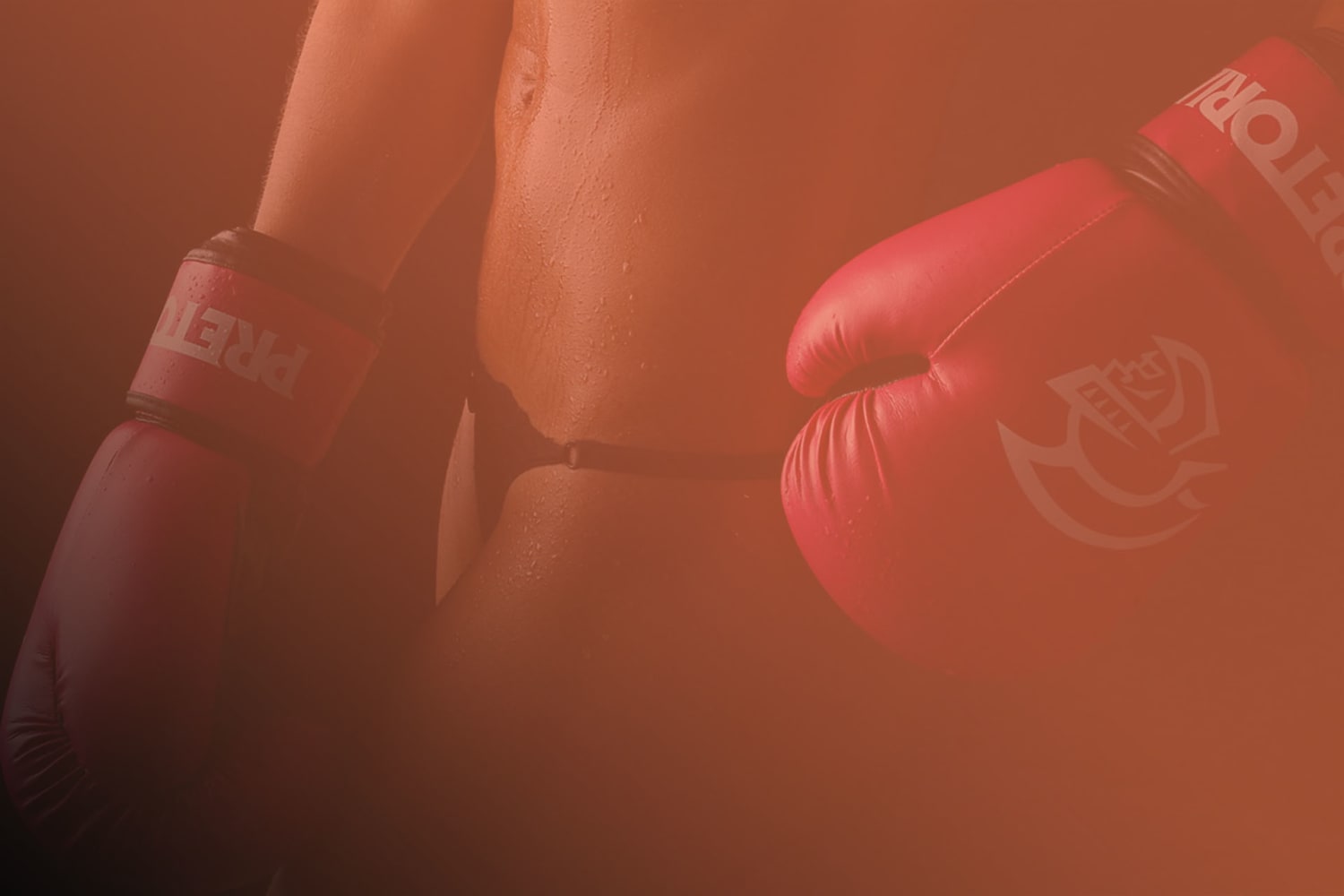 Boxing Gloves: TOP 5 Boxing Gloves Reviewed