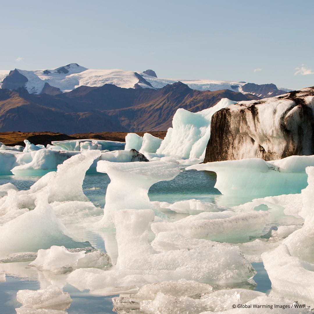 Ice acts like a protective cover over the Earth and our oceans. These bright white spots reflect excess heat back into space and keep the planet cooler. But what’s the difference between sea ice and glaciers? Find out: