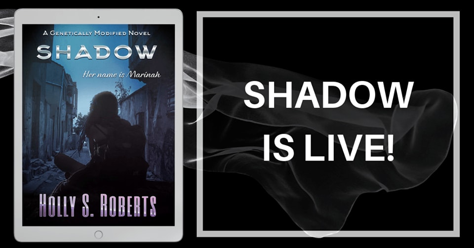 Book Review; Shadow by Holly S Roberts - Coffee, Books and Cakes