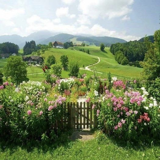 cottagecore | Beautiful gardens, Dream garden, Beautiful landscapes
