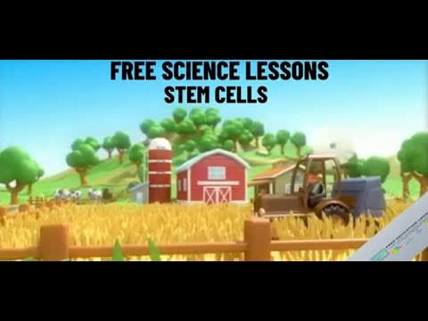 Clip 6 Stem cells - Science