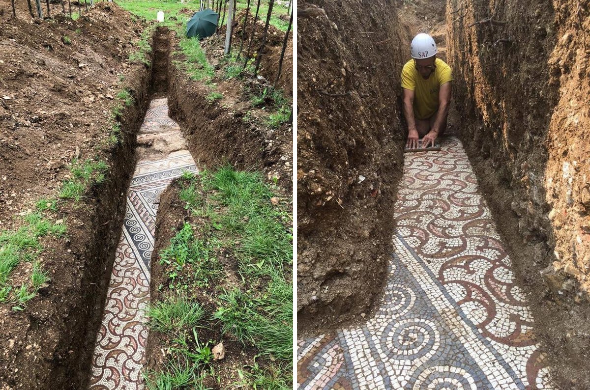 Archaeologists excavate a stunning, untarnished Roman mosaic from an Italian vineyard