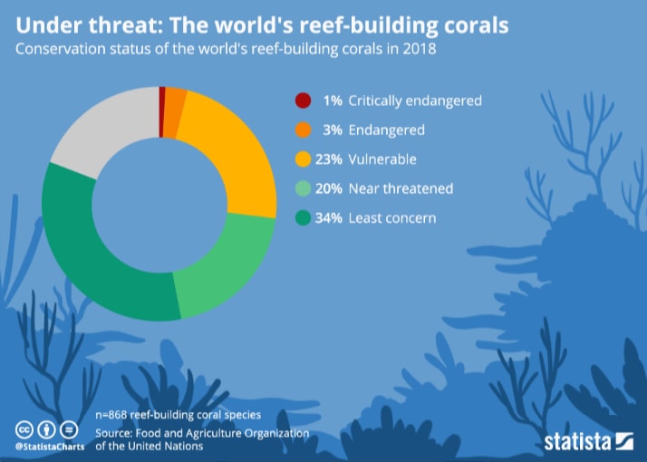 This is why coral reefs are so vital for the planet