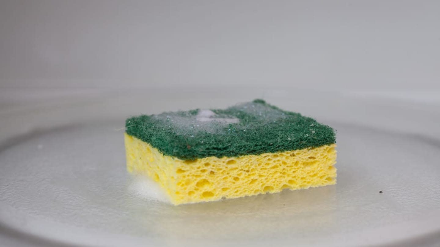 Thinking of Disinfecting Your Sponge? It’ll Do More Harm Than Good