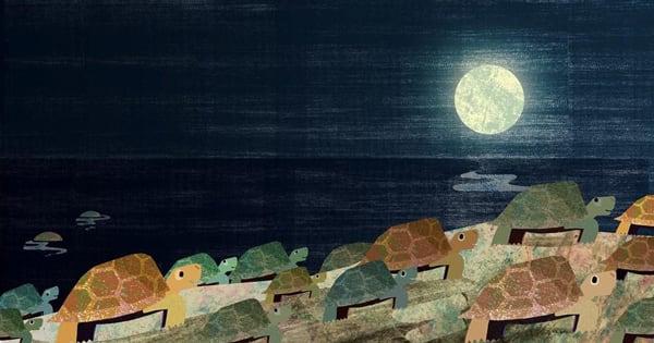 Moon: A Peek-Through Picture-Book About the Most Beloved Fixture of the Night Sky