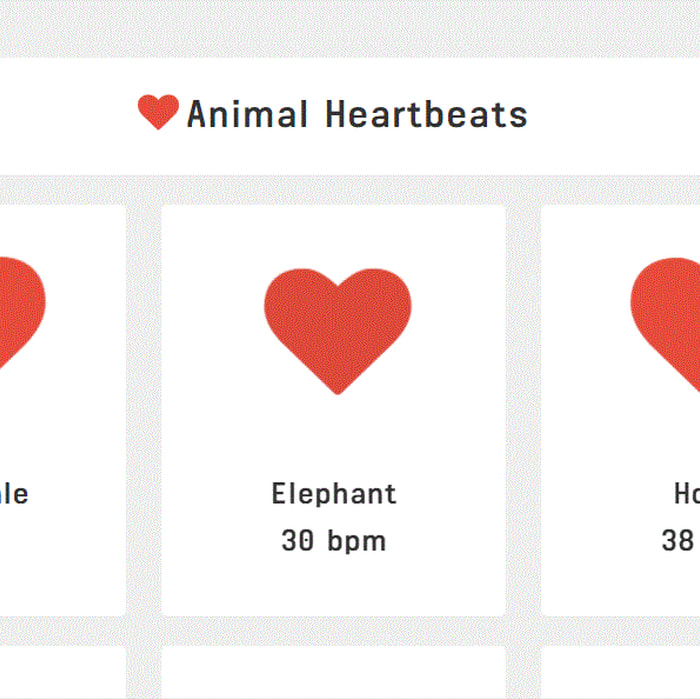 Real Time Animal Heartbeats