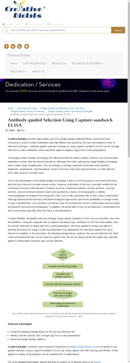 Antibody-guided Selection Using Capture-sandwich ELISA - Creative Biolabs