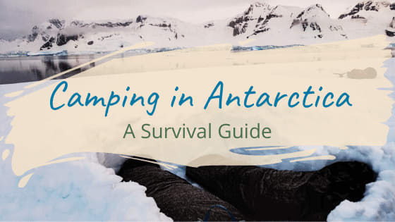Camping in Antarctica: A Survival Guide » Roaming Nanny