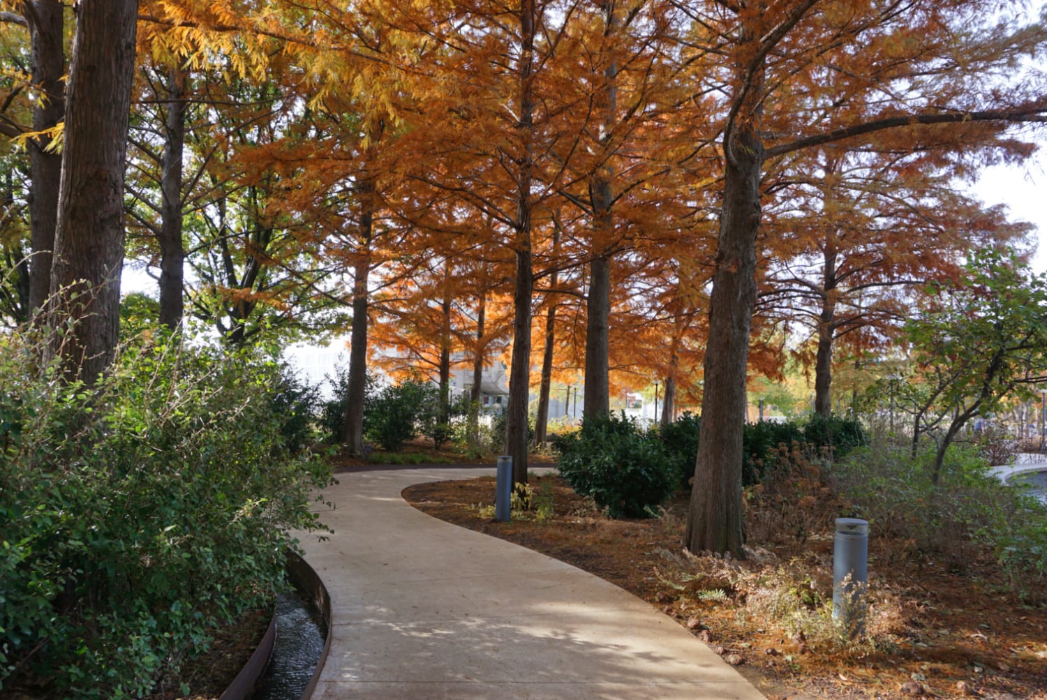Fall in Oklahoma City: Your guide to an OKC autumn getaway