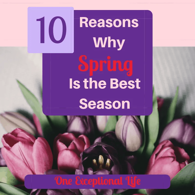 10 Reasons Why Spring Is The Best Season After A Long Winter
