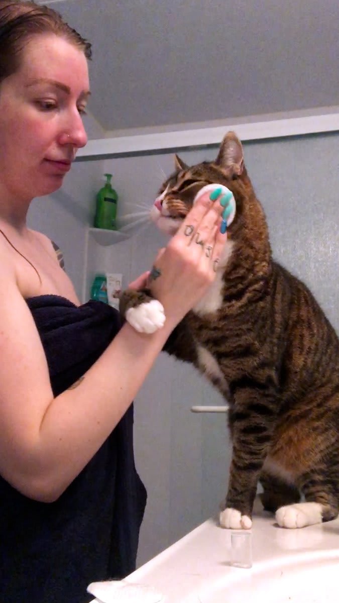 Cat asks to be part of Mom's beauty routine every single day 💅