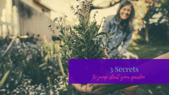 3 Secrets to Jump Start Your Garden
