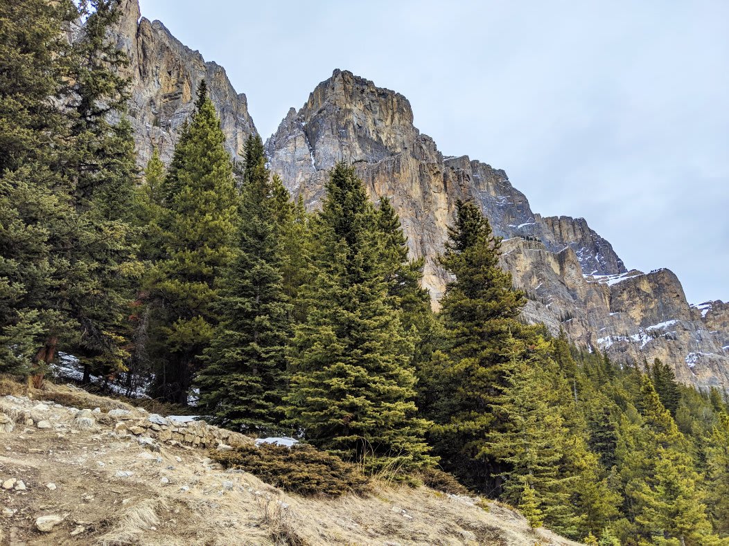 Castle Mountain Lookout - Banff Hikes