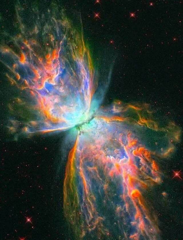 NGC 6302 nebula has an estimated surface temperature of about 250,000 degrees C and its wingspan covers over 3 lightyears. This sharp and colorful close-up of the dying star's nebula was recorded in 2009 by the Hubble Space Telescope's Wide Field Camera 3